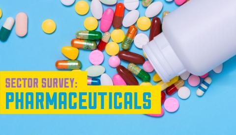 SECTOR SURVEY: PHARMACEUTICALS